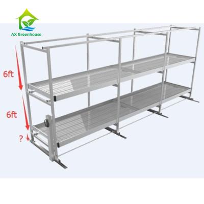 China El invernadero apilable atormenta el balanceo crece bancos que la vertical crece el sistema del estante en venta