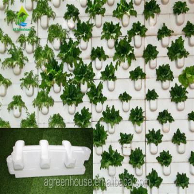 China 90 Plaatsen 10 Pijp Soilless Hydroponic Systeem Te koop