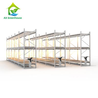 China Nursery Flower Planting Multi Layers Greenhouse Grow Rack Customized For Seedling for sale