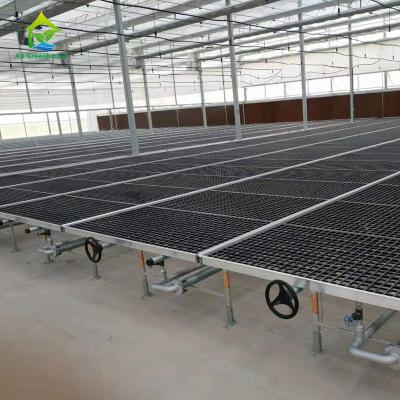 China HDG-Stahlrahmen-Treibhauspflanze verlegt 50*100mm Mesh Nursery Potting Benches zu verkaufen