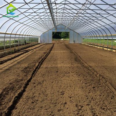 China estufa da folha de Polytunnel dos brócolis do comprimento de 10-100m com quadro do metal à venda