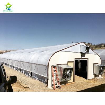 China Hot Galvanized Steel Commercial Light Deprivation Greenhouse for Hemp Cultivation for sale