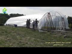 Commercial Single Span Poly Tunnel Greenhouse For Tomatoes