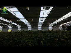 Commercial Light Deprivation Greenhouse With Shading System