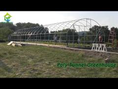 Single Layer Poly Tunnel Greenhouse Plastic Film Metal Frame For Broccoli