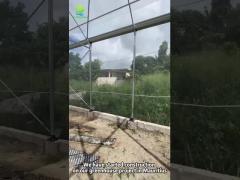 Durable Greenhouse Project in Mauritius