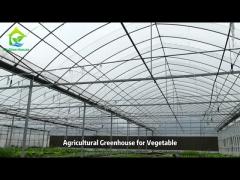 Poly Tunnel Plastic Film Greenhouse for Vegetables