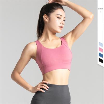 China Breathable Running Gym Fitness Yoga Bra Women Yoga Sports Seamless Sports Bra Yoga Wear for sale