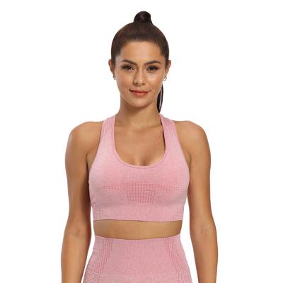 China Breathable Running Gym Fitness Yoga Bra Women Yoga Sports Seamless Sports Bra Yoga Wear for sale