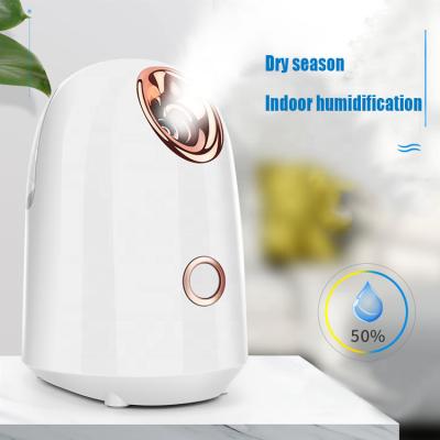 China Custom Logo Mini Warm Face Spa Nano Mist Sprayer DEEP CLEANSING Ionic Facial Steamer For Home Use for sale