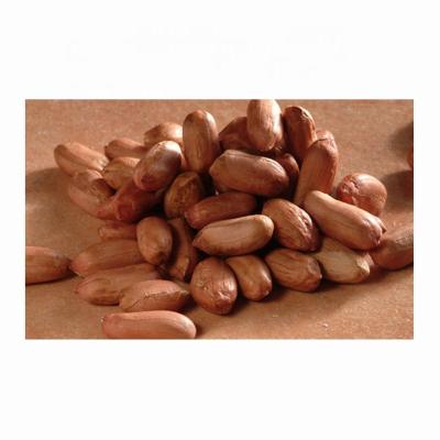 China Low Moisture High Nutrition Dry Imperfect Fruit Less Earthnut Raw Red Kernel Skin Raw Peanut Without Shell for sale