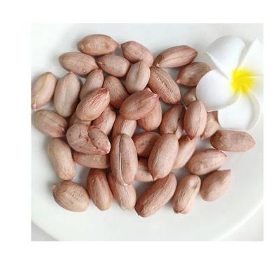 China High Quality Dry Organic NON GMO 28/32,34/38 Peanuts Red Kernels Peanuts Long Skin Peanuts Raw Price For Sale for sale