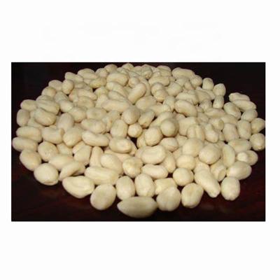 China Dry Whole Size 29/33, 35/39 Peanut Bleached Peanut Sale Price Balanced Core for sale