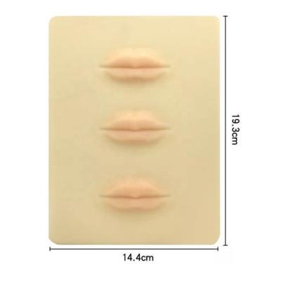 China 3D Silicone Lip Practice Permanent Tattoo Practice Skin Makeup Lip Tattoo Practice Skin Mannequin Doll Face Head 002 for sale