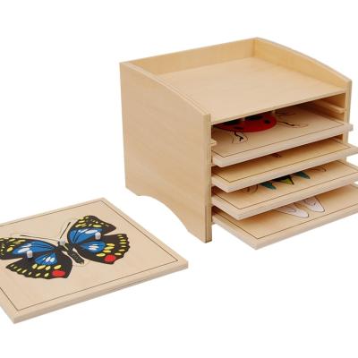 China Educational Toy High Quality Wooden Baby Toys Montessori Insect Puzzle Board with Cabinet for sale