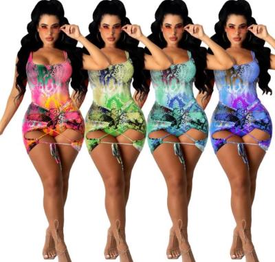 China 2021 New Breathable Swimwear Skin Snake Printed Jumpsuits Bikinis 2pcs Swimsuits Beach Wear 2pcs Bikini Sets Clothing for sale