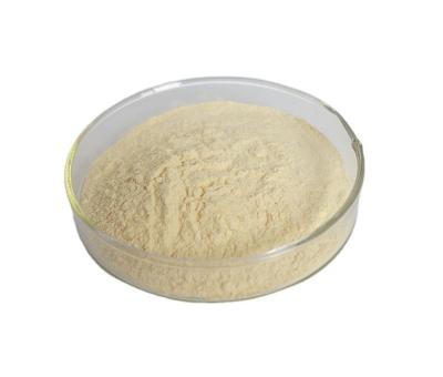 中国 AmorphophallusのKonjacゴムは95%最低のGlucomannan CASを37220-17-0粉にしない 販売のため