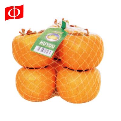 China Cheap Net Bag Storage Fruit Vegetable Mesh Product Packing Net Bag for sale