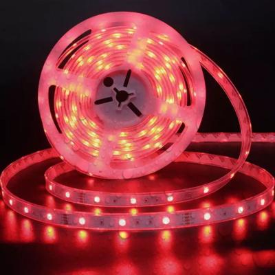 China Hotel Usb Waterproof Flexible Led Strip 5050 5m 10m 15m RGB Lights With Remote Led Strip 12v 24v Led Light Cintas Tiras Luces Led Strip for sale