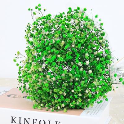 China Romantic preserved flowers bouquet preserved baby's breath gypsophila preserved flowers for flower arrangement decorations for sale