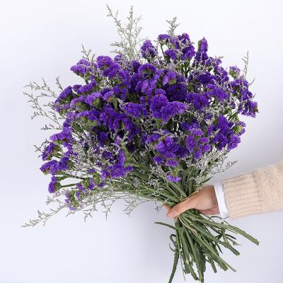 China Natural Fresh Flower Preserved Limonium Forget Me Not Dried Flower For Home Decor Decorations for sale