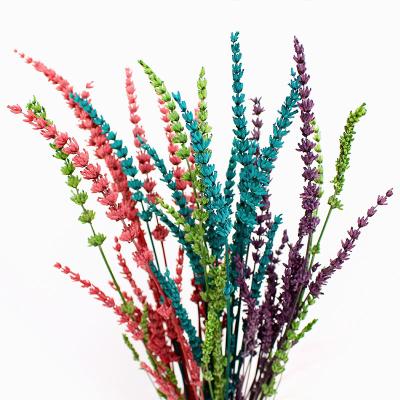 China Natural preserved dry fresh flower lavender flower lavandula angustifolia for home decor living room decoration for sale