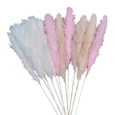 China Hot Selling Amazon Flower Arrangement Blue Yellow White Pink All Colors Large Size Colorful Pampas Grass For Vase Decor for sale