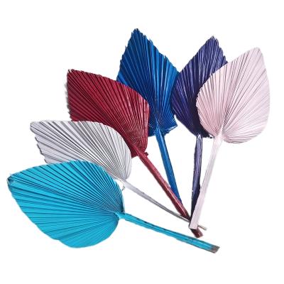 China Events Decoration Dried Palm Leaves Dried Palm Fans Gypsy Dried Painted Palm Leaves Wedding Decoration for sale