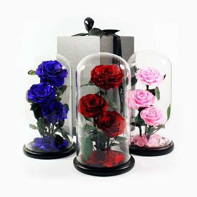 China Customizable Eternal Preserved Glass Roses Rose Gift Glass Dome Forever Ideas Natural Fresh Rose 2022 New In Box for sale