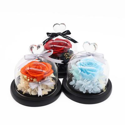 China Dry Rose Valentine's Day Eternal Preserved Flowers Rose Dome Flores Everlasting Forever Glass Eternal Roses in Glass Floral Gift Box for sale