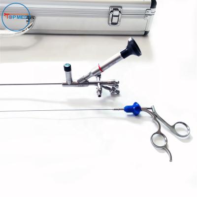 China 8/9.8Fr Rigid Urology Ureteroscope Surgical Instrument Ureterorenoscopy Set for sale