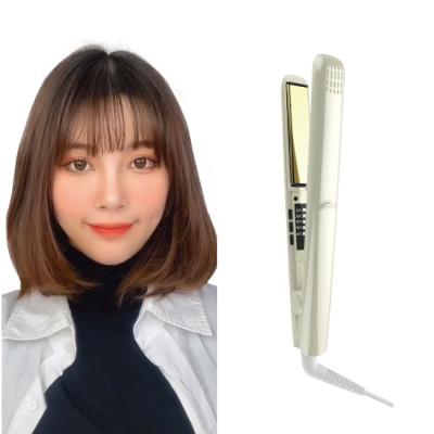 China 2021 Hotel Electric Factory Fashion Design Custom Hair Straightener for sale