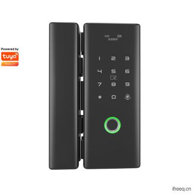 China Alloy+Paint+IML Aluminum Cover G200 Wi-Fi Fingerprint Door Lock for sale