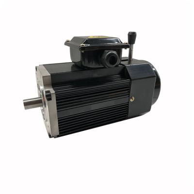 China Totally Enclosed Large size three phase induction electric motor for sale