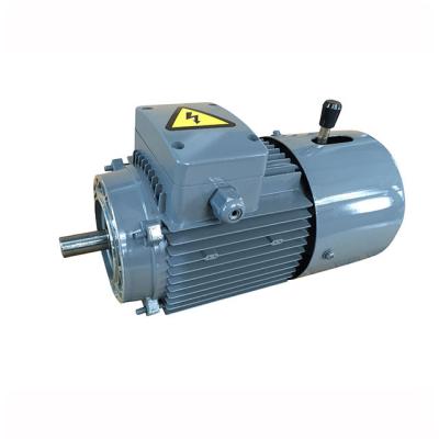 China Totally Enclosed Heavy duty electromagnetic brake three phase asynchronous motor for sale