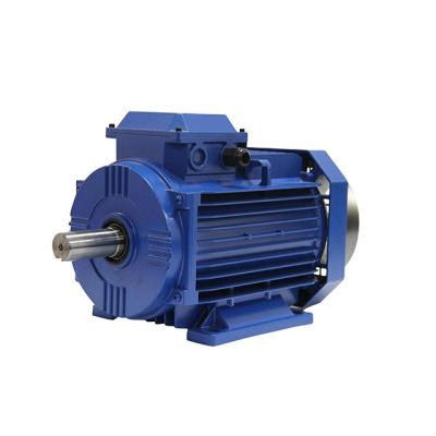 China Totally Enclosed High Quality 3 Phase Induction Electric Motor Price for sale