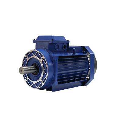 China Totally Enclosed High Quality Three Phase Ac Asynchronous Electric Motor for sale