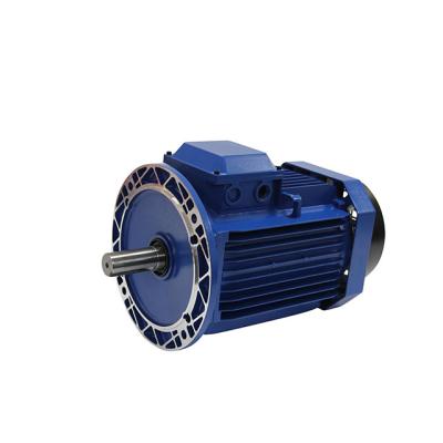 China Totally Enclosed High Efficiency Three-Phase Induction Electric Motor 22Kw for sale