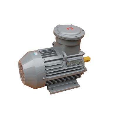 China Totally Enclosed Ie3 Three Phase Asynchronous Ex-proof Motor for sale