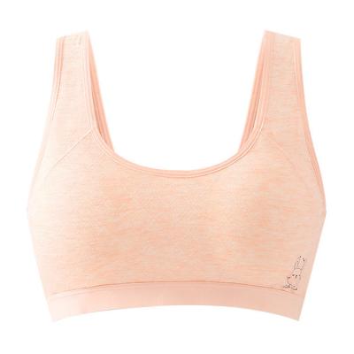 China Antibacterial Sports For Young Girls Cotton Wireless Breathable Hot Sexy Seamless Bra for sale