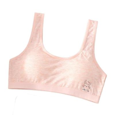 China Antibacterial Custom Made Girls White Breathable Teen Sports Hot Sexy Seamless Bra For Girl for sale