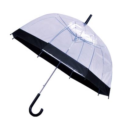 China All In 1 Promotion Apllo Dome Shape POE PVC Upright Transparent Umbrella for sale