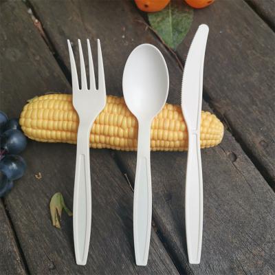 China Disposable Spoon And Forking Disposable Cheap Disposable Eco - Friendly Hard Plastic Cutlery Set for sale