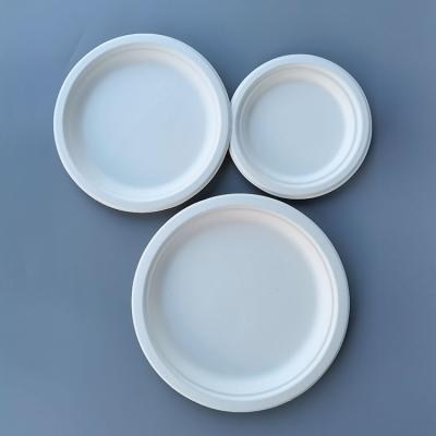 China 2022 Biodegradable Disposable Customized Disposable Dishes And Cups New Design Eco Friendly Bamboo Dishes for sale