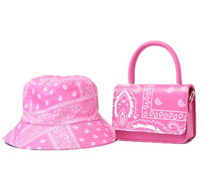 China Fashion 2021 new arrivals 2 pcs women set ladies hat and handbags women's handbags women's handbags handbags for sale