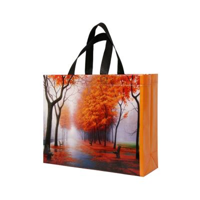 China Factory price eco handled heavy duty handle laminated pp non woven bag in stock for sale