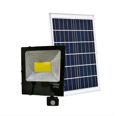 China ROAD Waterproof Ip65 Factory Led Lighting Sensor Outdoor Solar Wall Light Led Induction Solar Panel Solar Street Light for sale