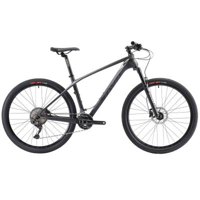 China Racing SAVA DECK5.0 Carbon Mountain Bike 27.5