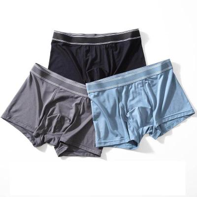 China Mens 60s Spandex Fabric Boxer Shorts Antibacterial Breathable Modal Underwear for sale