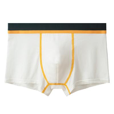 China Breathable Comfortable Custom Logo Boxers Briefs Mens Modal Underwear Boxer for sale